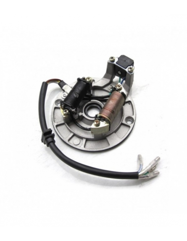 ENCENDIDO COMPLETO PIT BIKE 1