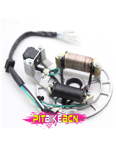 ENCENDIDO PIT BIKE 1