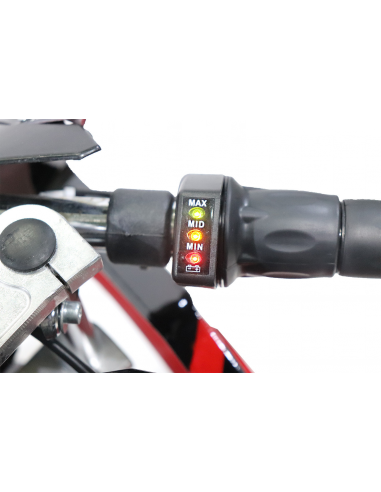 ECO TRIBO 1060w 36v bateria