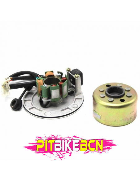 ENCENDIDO ZS190 ALIGERADO PIT BIKE 1