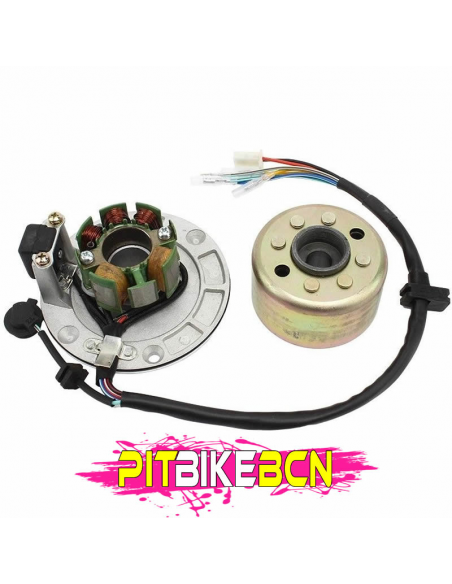 ENCENDIDO ZS190 ALIGERADO PIT BIKE