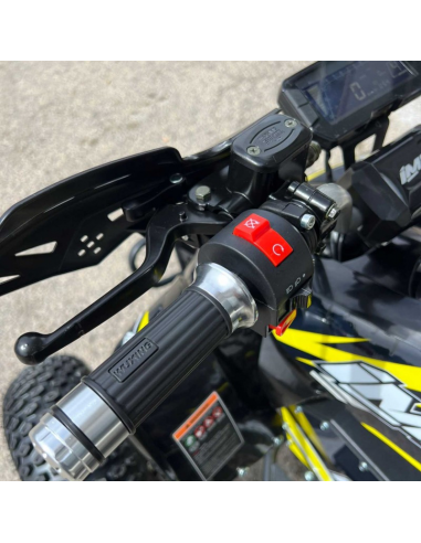 MINIQUAD 1500W IMR THUNDER 1