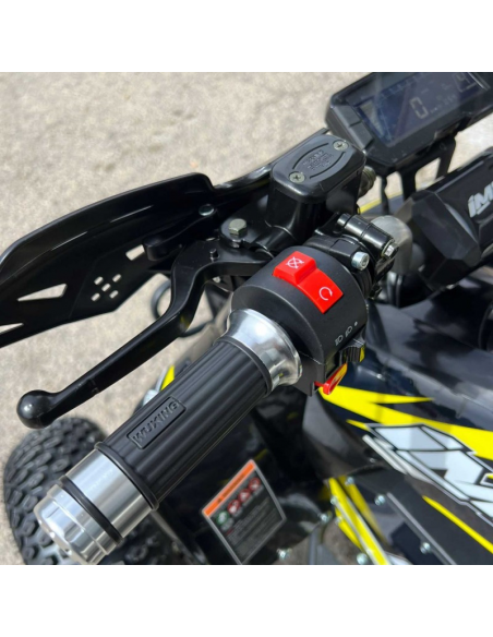 MINIQUAD 1500W IMR THUNDER 1