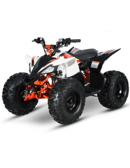 QUAD ATV 110 IMR 1+R