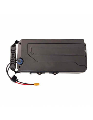 BATERIA LITIO 48V 15.6AH MINICROSS E-SX