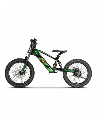 BICICLETA ELECTRICA ESHARK 20" Verde 1