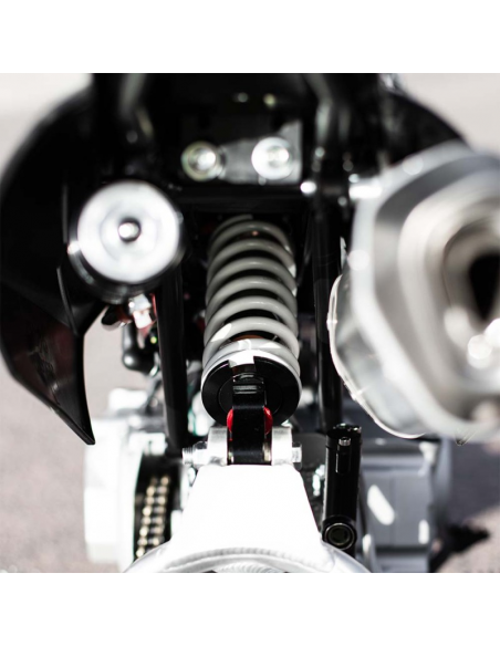 IMR CORSE 110R AUTOMATICA2