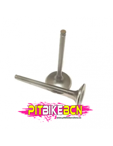 Válvulas para motor zs190