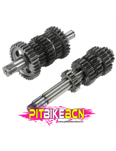 Caja de cambios completa para motor zs190
