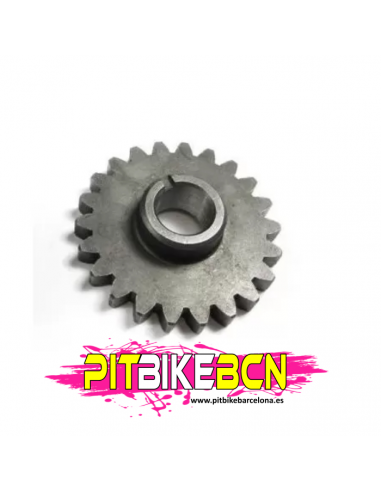 Piñon engranaje secundario yx