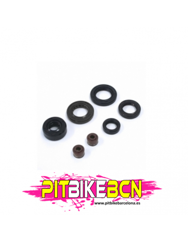 Retenes para motores de Pit bikes 125cc
