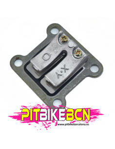 CAJA LAMINAS MOTOR MINIMOTO 50CC 1