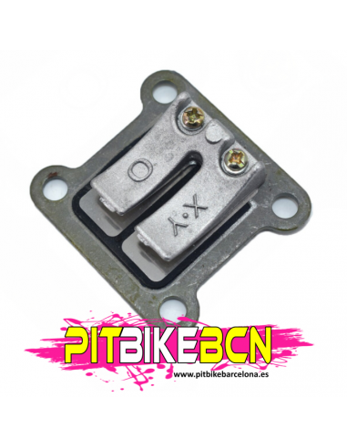 CAJA LAMINAS MOTOR MINIMOTO 50CC 1