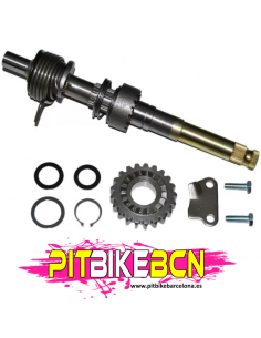 EJE DE ARRANQUE COMPLETO ZS190