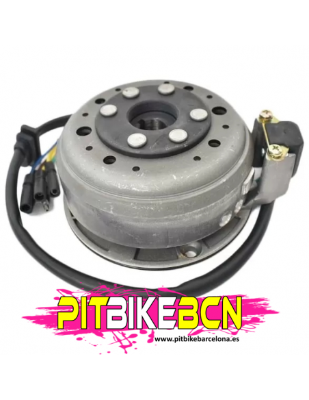 ENCENDIDO COMPLETO PIT BIKE