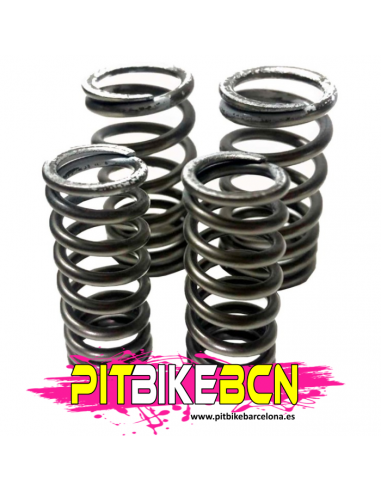 Muelles duros de válvula zs190