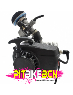 MOTOR MINIMOTO 65CC