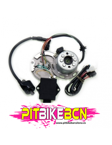 ROTOR DAYTONA VARIABLE