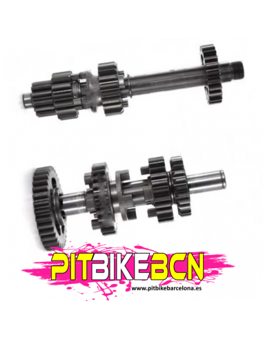 CAJA DE CAMBIOS COMPLETA DAYTONA ANIMA