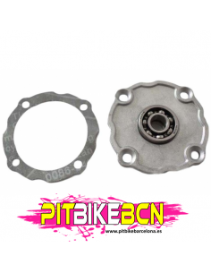 PISADOR EMBRAGUE PITBIKES 125