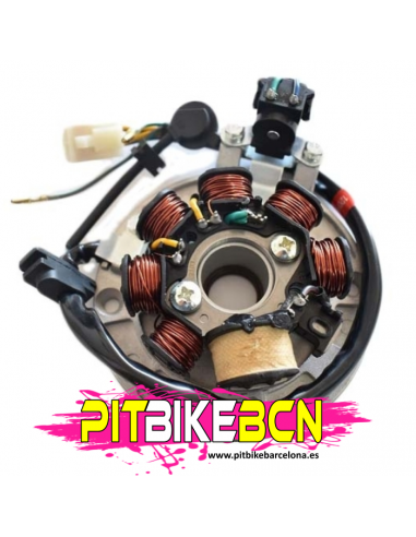 ENCENDIDO ZS190 ORIGINAL