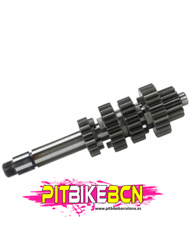 CAJA DE CAMBIOS PRIMARIO ZS190