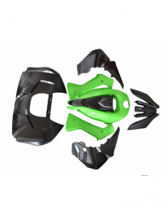 PLASTICOS MINIQUAD PREDATOR