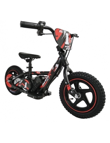 BICICLETA ELECTRICA 12" 120W 5.2Ah
