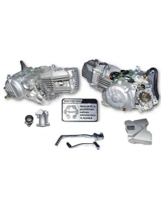 MOTOR ZS190CC 2V